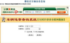 四川电子警察违章查询,实时掌握交通违法信息