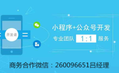 小程序开发公司小程序开发公司,打造个性化移动应用解决方案