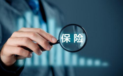 有哪些保险公司,中国保险公司概览