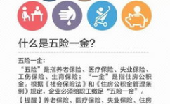 五险是哪五险,揭秘五险具体内容与保障作用”