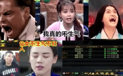 娱乐吃瓜喵姐视频大全免费观看,免费观看视频大全,带你畅游娱乐圈
