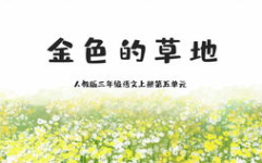 金色的草地ppt,金色的草地奥秘解析