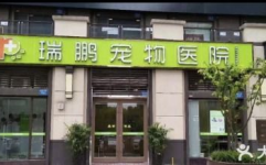 北京口碑好的宠物医院,专业服务，呵护宠物健康”