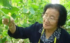 甜甜娱乐吃瓜人微博,揭秘汪苏泷与靳梦佳的恋爱故事