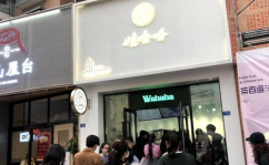 娃哈哈奶茶店加盟,开启您的甜蜜创业之旅