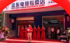 远东电缆有限公司,引领行业发展的电缆制造先锋