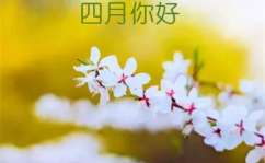 三月再见四月你好唯美图片,三月再见，四月你好
