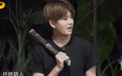 任嘉伦吃瓜娱乐,揭秘明星幕后趣事