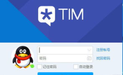 娱乐QQ,畅游虚拟世界，解锁快乐生活新篇章