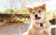 娱乐吃瓜酱忠犬,吃瓜酱的忠实伴侣
