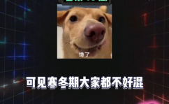 娱乐乐圈吃瓜是真的吗,吃瓜背后的真实故事