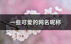 有爱的网名,情侣网名的甜蜜创意集锦”