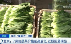 新发地蔬菜价格表,市场动态一览
