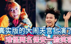 娱乐吃瓜酱万万没想到,娱乐吃瓜酱带你揭秘娱乐圈幕后故事