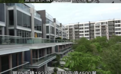 娱乐吃瓜酱找男朋友,甜蜜恋爱之旅，寻找理想男友