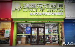 北京口碑好的宠物医院,专业服务，呵护宠物健康”