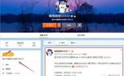 比特儿,引领数字货币新时代的先锋力量