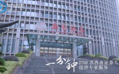 重庆证券公司,多元化服务与市场影响力解析