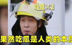 娱乐吃瓜的本质是啥啊,好奇心的驱动力与社交的折射