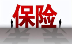 有哪些保险公司,中国保险公司概览