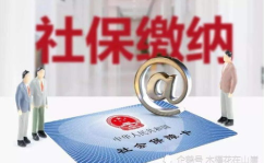 2020年社保补缴新政策,权益保障与操作指南