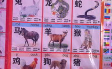 1972年属什么生肖,智慧与机遇的象征